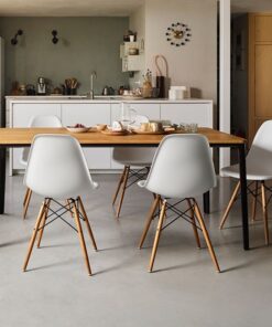 Eames DSW Side Chair