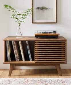 Vinyl Storage