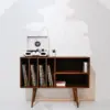 Mid century style vinyl storage