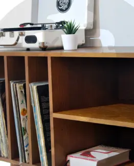 vinyl storage