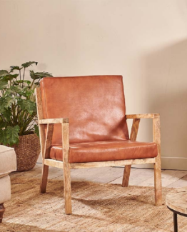Bolpur leather armchair
