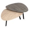 Spencer Set of 2 Coffee Tables