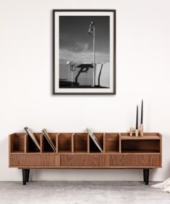 Poppy Vinyl Storage