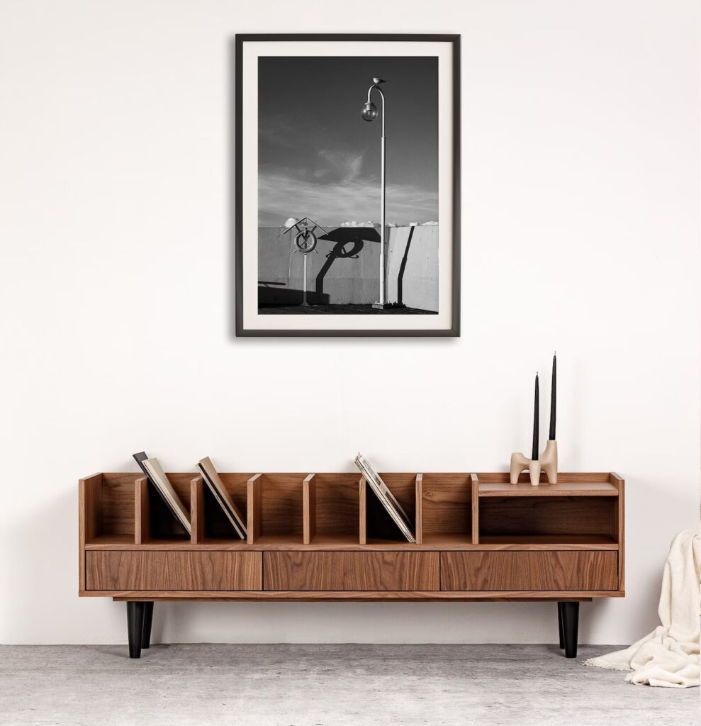 Poppy Vinyl Storage