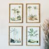 Set of 4 Palm Tree Prints