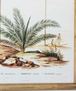 Set of 4 Palm Tree Prints